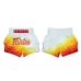 BS1932 Fairtex Muaythai šortai