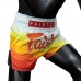 BS1932 Fairtex Muaythai šortai
