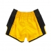 BS1701 Fairtex Muaythai šortai