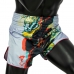 BS1909 Fairtex Muaythai šortai
