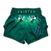 BS1913 Fairtex Muaythai šortai