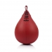 SB1 Fairtex Greičio kriaušė, 30x13cm